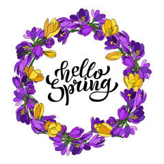 Hand lettering Hello Spring with crocuses. Illustration in hand drawn style.