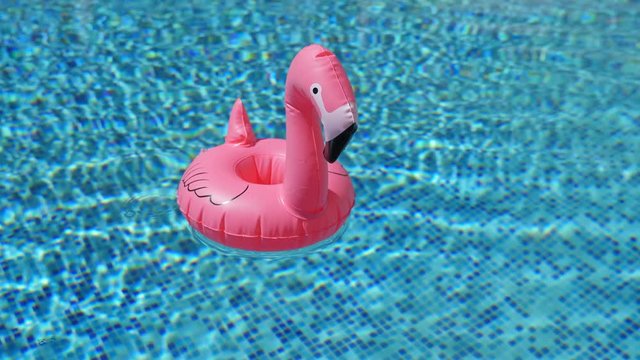 Inflatable toy of pink flamingo in swimming pool at poolside, nobody