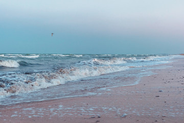 beautiful azure sea coast