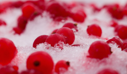 Frozen red currant berries.