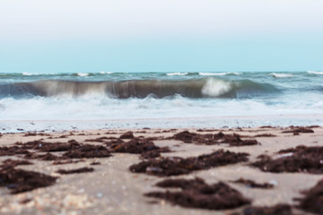 beautiful azure sea coast