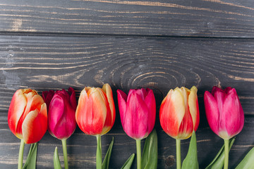 Mother's day.Valentine's day.Birthday.Pink tulips with copy space.