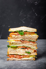 Schneiden Sie leckeres Sandwich-Konzept
