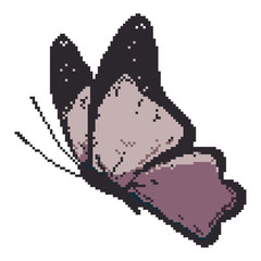 Vector pixel art colorful butterfly. Isolated butterfly on white background.