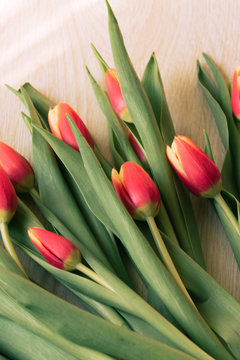 Spring, a bouquet of flowers, pink tulips, out of focus, wooden table - image