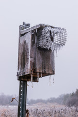Bluebird Freezeout