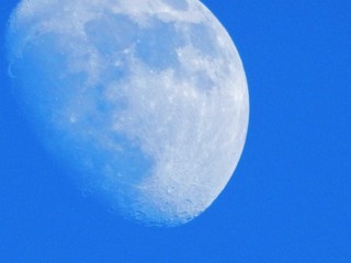 Tages-Mond