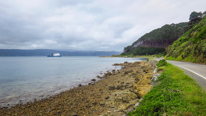 Exploring Wellington in New Zealand