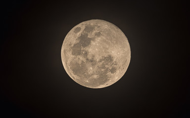 Naklejka premium Feb 19th Full Moon