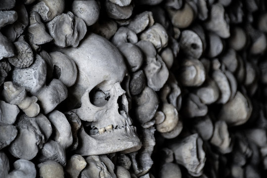 Skulls close up inside ancient crypt