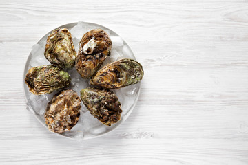 Fresh oysters on ice on gray plate over white wooden background, top view. Flat lay, overhead, from above. Copy space.