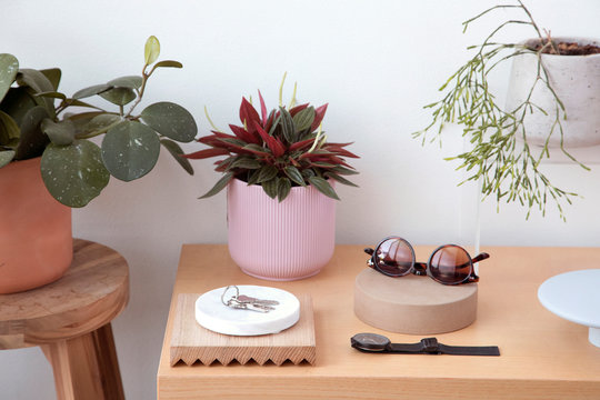 High angle view of personal accessories with plants and keys arranged on wooden table against wall at home
