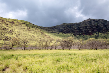 Hawaii Oahu Waianae Kai Forest Reserve mountains and clouds