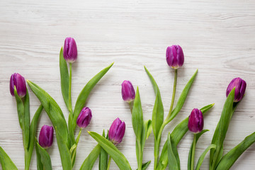 Purple tulips on white wooden background, overhead view. Flat lay, top view, from above. Close-up.