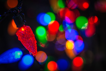 outdoor christmas lights