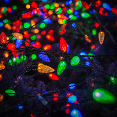 outdoor christmas lights