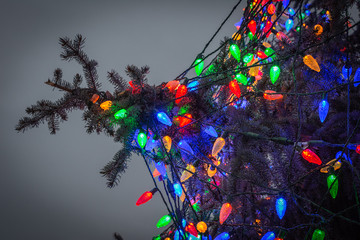 outdoor christmas lights