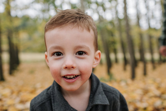 Close-up portrait of cute smiling boy standing in forest during autumn