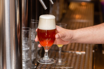innkeeper delivers a drawn glass of beer