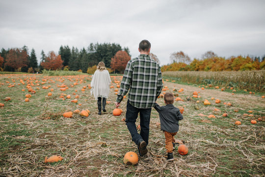 Rear view of family waking on pumpkin patch during autumn