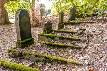 Jewish Graveyard
