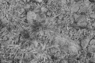 Frozen Water Soil Ground