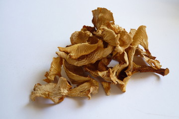 dry chanterelles