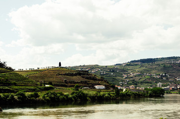 29 April 2016 - Peso da Regua, Portugal: Sandeman port wine symbol on vineyard hill in Portugal