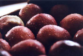 wet apples