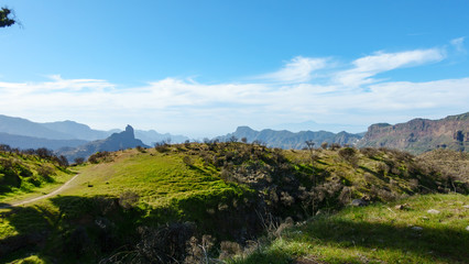Landscape of Canary Islands, in the bachground Roque Bentayga, Spain