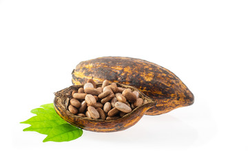 cocoa pod fruits with half sliced, green leaf isolated on white background