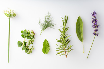 fresh herbs and spices on a white background