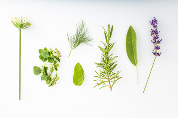 fresh herbs and spices on white background