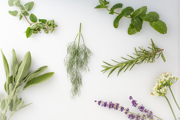 fresh herbs and spices on white background