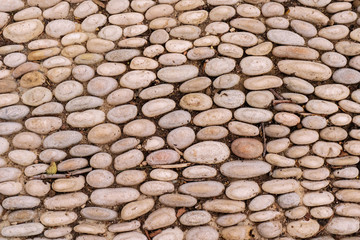 Stones on the ground as background - 250541467