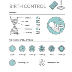 Human Fetus DNA settings & process of cell division. Futuristic illustration in linear style. DNA/Genes concept.
