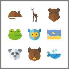 9 wildlife icon. Vector illustration wildlife set. frog and gazelle icons for wildlife works