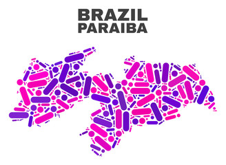 Mosaic Paraiba State map isolated on a white background. Vector geographic abstraction in pink and violet colors. Mosaic of Paraiba State map combined of random circle dots and lines.