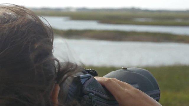 Spotting Birds On A Windy Day On The Isle Of Sylt, Germany
