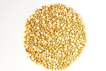 traditional indian roadside street snack food roasted chickpea nut daliya dalia or chana dal ...