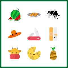 9 cut icon. Vector illustration cut set. court plaster and cow icons for cut works