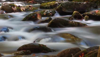 Smoky Mountain Stream