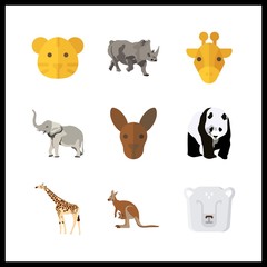9 zoo icon. Vector illustration zoo set. rhino and elephant icons for zoo works