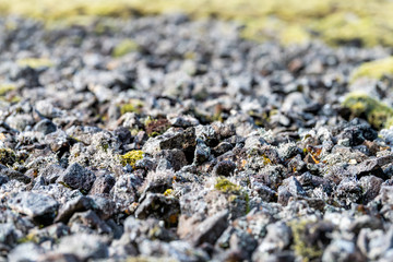 Reykjadalur, Iceland Hveragerdi Hot Springs trail during day in golden circle with closeup rocky gravel stones rocks landscape showing detail and texture