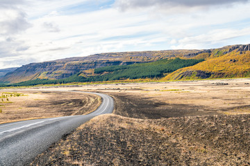 Forest of green pine trees in peaceful Iceland landscape and cloudy sky on golden circle with mountain and road highway 32 winding