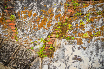Grungy historical broken brick wall background in sunny summer day. Abstract red brick old wall texture background. Ruins uneven crumbling red brick wall background texture.