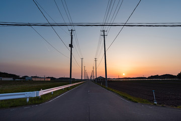 Fototapeta premium 夕日の中の道の両端にまっすぐに電柱の並ぶ風景