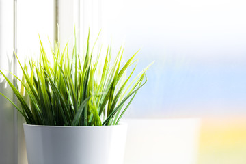 Modern minimalism house bedroom room window decoration decor with green flowerpot potted ceramic...