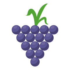 grapes fresh fruit cartoon