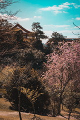 zu lai buddhist temple